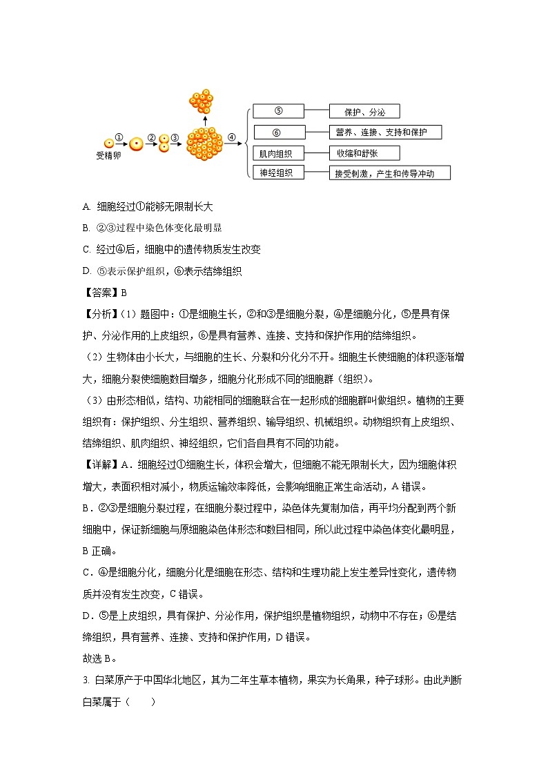 2025年甘肃省武威市凉州区西营、红星九年制二模生物试卷（解析版）第2页