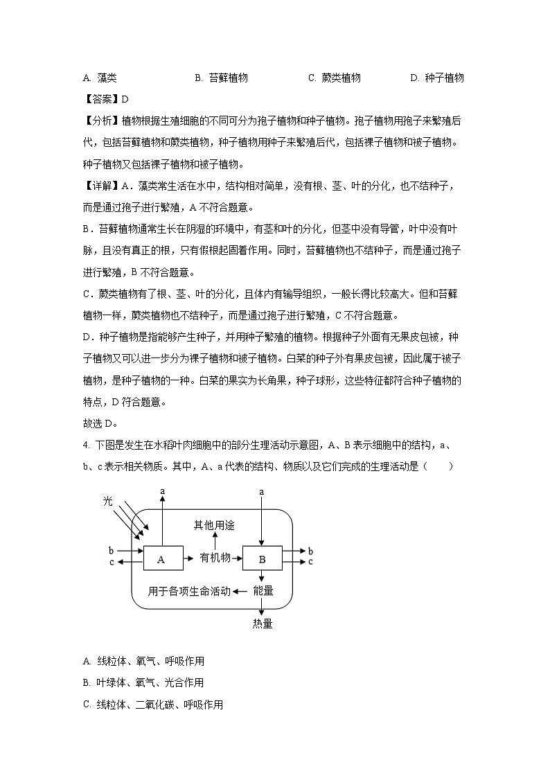 2025年甘肃省武威市凉州区西营、红星九年制二模生物试卷（解析版）第3页