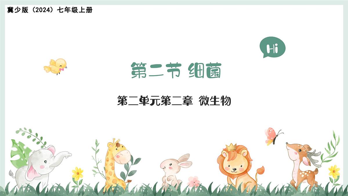2.2.2细菌课件-2024--2025学年冀少版生物七年级上册第1页