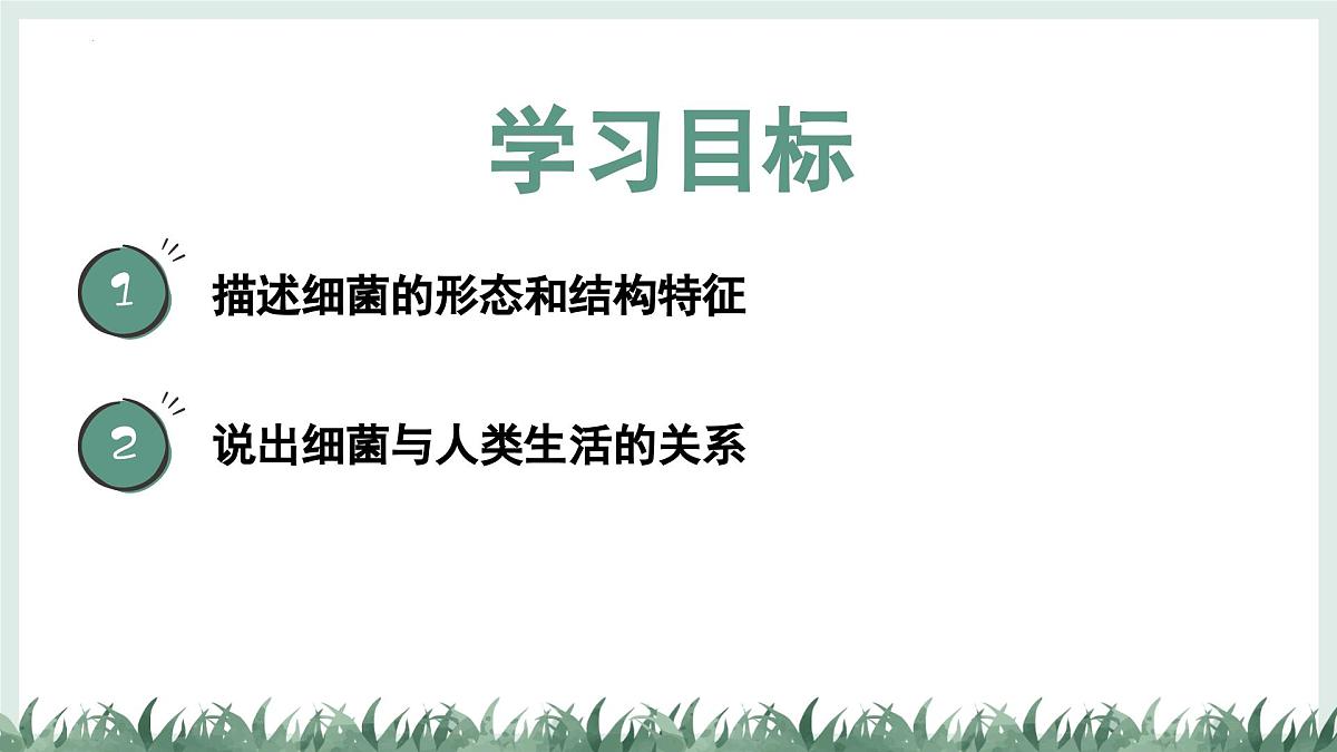 2.2.2细菌课件-2024--2025学年冀少版生物七年级上册第2页