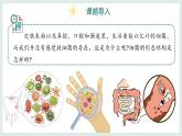 2.2.2細菌課件-2024--2025學年冀少版生物七年級上冊