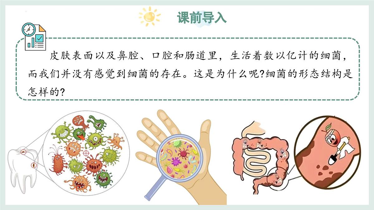 2.2.2细菌课件-2024--2025学年冀少版生物七年级上册第3页