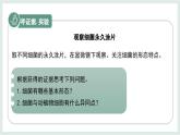 2.2.2細菌課件-2024--2025學年冀少版生物七年級上冊