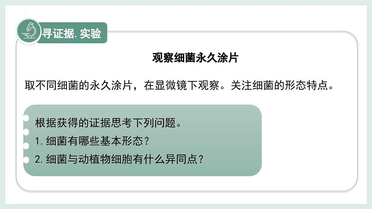2.2.2细菌课件-2024--2025学年冀少版生物七年级上册第4页