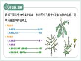 2.3.2生物的鑒別課件-2024--2025學年冀少版生物七年級上冊