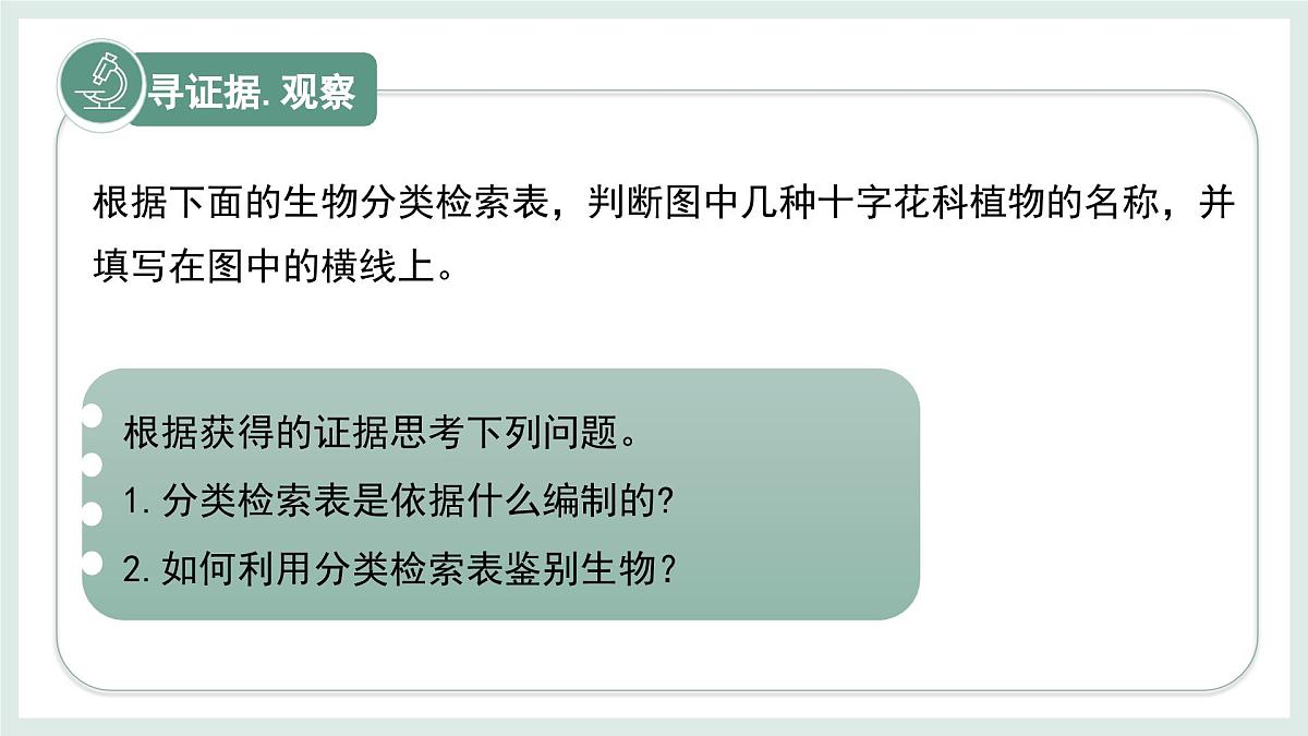 2.3.2生物的鉴别课件-2024--2025学年冀少版生物七年级上册第6页