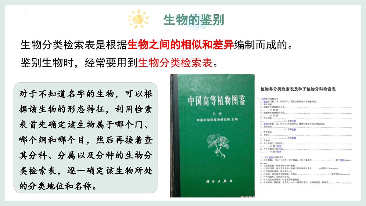 2.3.2生物的鉴别课件-2024--2025学年冀少版生物七年级上册第7页