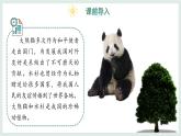 2.4.1我國(guó)的珍稀動(dòng)植物資源+課件-2024--2025學(xué)年冀少版生物七年級(jí)上冊(cè)