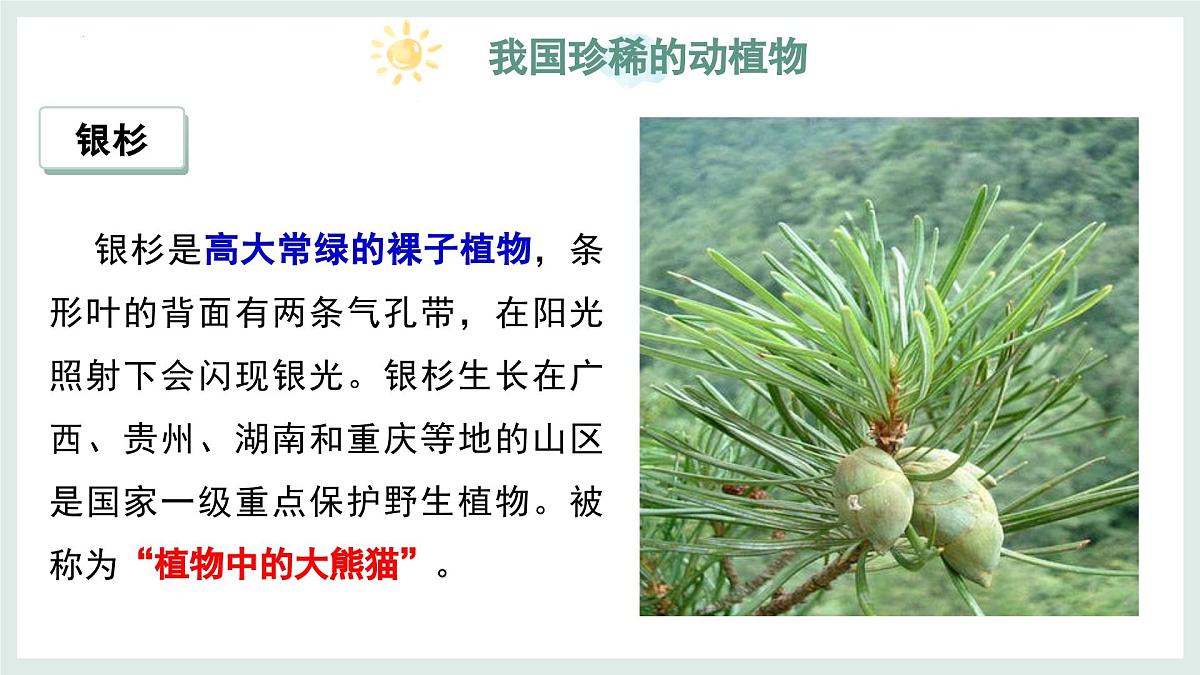 2.4.1我国的珍稀动植物资源+课件-2024--2025学年冀少版生物七年级上册第5页