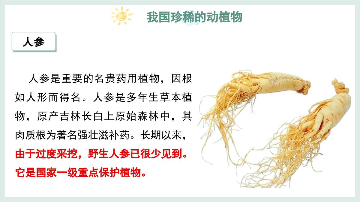 2.4.1我国的珍稀动植物资源+课件-2024--2025学年冀少版生物七年级上册第8页