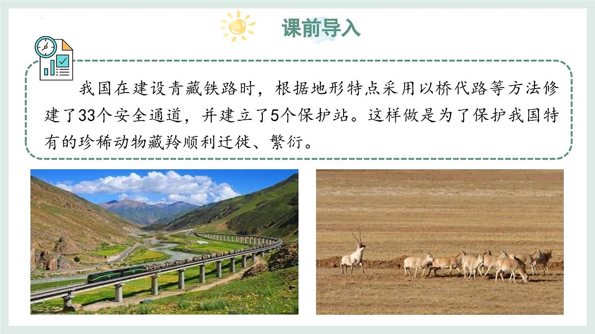2.4.2生物资源的保护课件-2024--2025学年冀少版生物七年级上册第3页