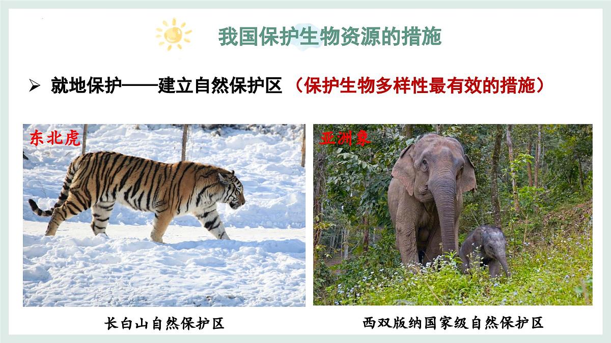 2.4.2生物资源的保护课件-2024--2025学年冀少版生物七年级上册第8页