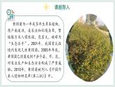 2.4.3外來(lái)物種入侵的防控課件-2024--2025學(xué)年冀少版生物七年級(jí)上冊(cè)