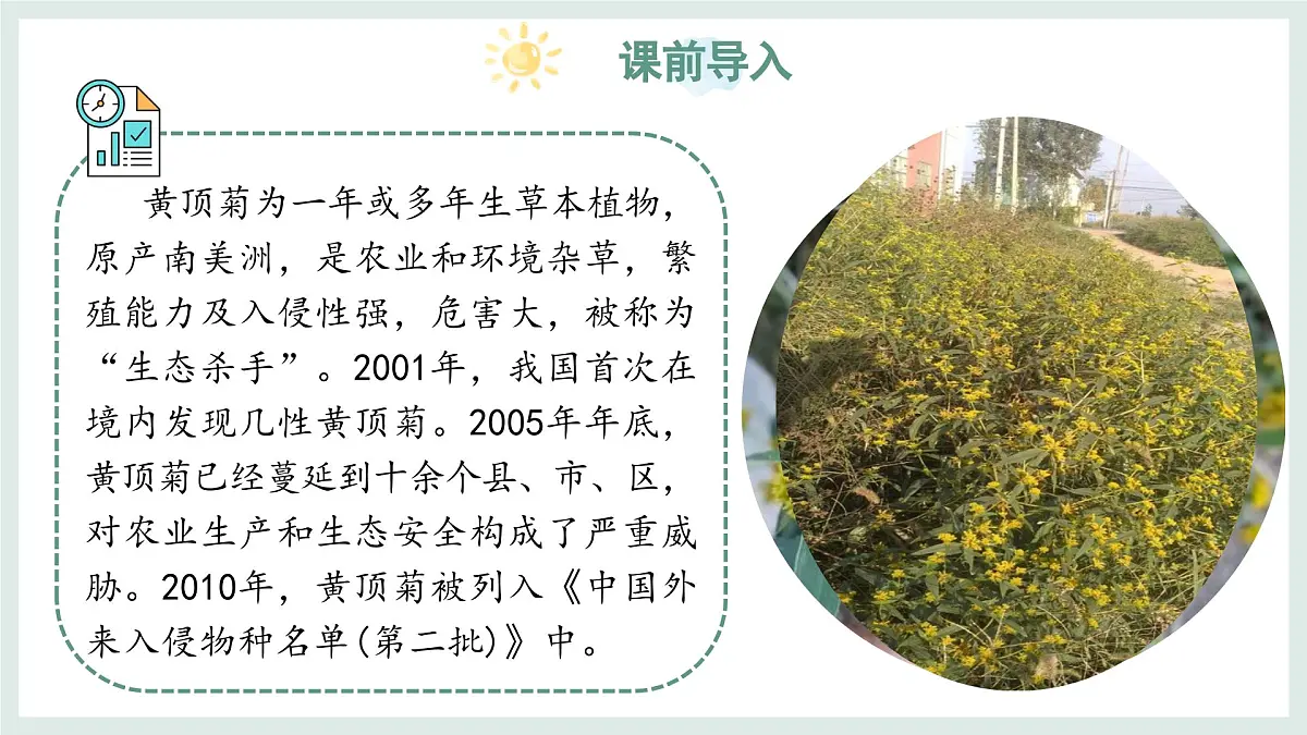 2.4.3外来物种入侵的防控课件-2024--2025学年冀少版生物七年级上册第3页