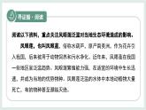 2.4.3外來(lái)物種入侵的防控課件-2024--2025學(xué)年冀少版生物七年級(jí)上冊(cè)