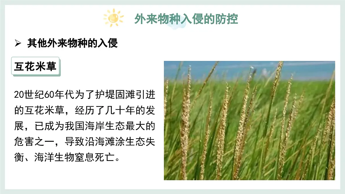 2.4.3外来物种入侵的防控课件-2024--2025学年冀少版生物七年级上册第8页
