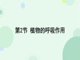 初中 生物 蘇教版（2024）七年級下冊4.11.2 植物的呼吸作用 課件
