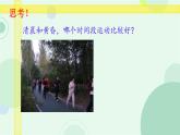 初中 生物 蘇教版（2024）七年級下冊4.11.2 植物的呼吸作用 課件