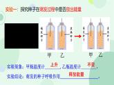 初中 生物 蘇教版（2024）七年級下冊4.11.2 植物的呼吸作用 課件