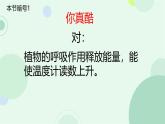 初中 生物 蘇教版（2024）七年級下冊4.11.2 植物的呼吸作用 課件