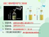 初中 生物 蘇教版（2024）七年級下冊4.11.2 植物的呼吸作用 課件