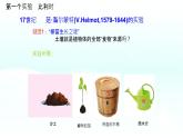 初中 生物 蘇教版（2024）七年級(jí)下冊4.11.1 植物的光合作用 課件