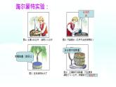 初中 生物 蘇教版（2024）七年級(jí)下冊4.11.1 植物的光合作用 課件