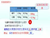 初中 生物 蘇教版（2024）七年級(jí)下冊4.11.1 植物的光合作用 課件