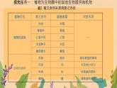 初中 生物 蘇教版（2024）七年級(jí)下冊4.11.4 植物在生物圈中的重要作用（第1課時(shí)） 課件