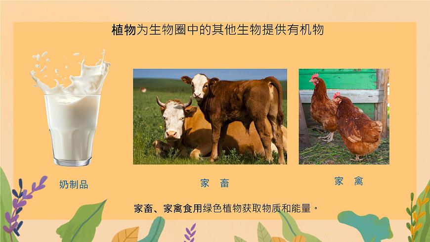 初中 生物 苏教版（2024）七年级下册4.11.4 植物在生物圈中的重要作用（第1课时） 课件第8页