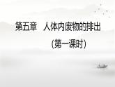 初中 生物 人教版（2024）七年級(jí)下冊(cè)4.5 人體內(nèi)廢物的排出（第一課時(shí)） 課件