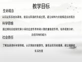 初中 生物 人教版（2024）七年級(jí)下冊(cè)4.5 人體內(nèi)廢物的排出（第一課時(shí)） 課件