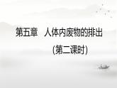 初中 生物 人教版（2024）七年級(jí)下冊(cè)4.5 人體內(nèi)廢物的排出（第二課時(shí)） 課件
