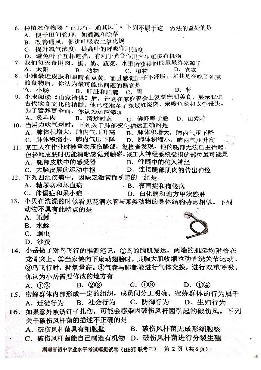 生物 百生物试卷第2页