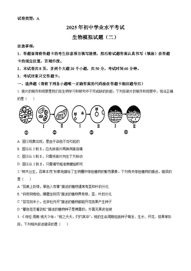 2025年山东省泰安市东平县中考三模生物试题第1页