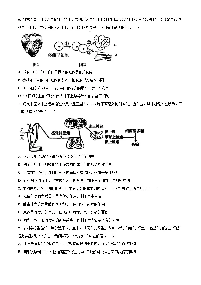 2025年山东省泰安市东平县中考三模生物试题第3页