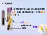 初中 生物人教版（2024）七年級下冊4.4.1 流動的組織——血液 課件