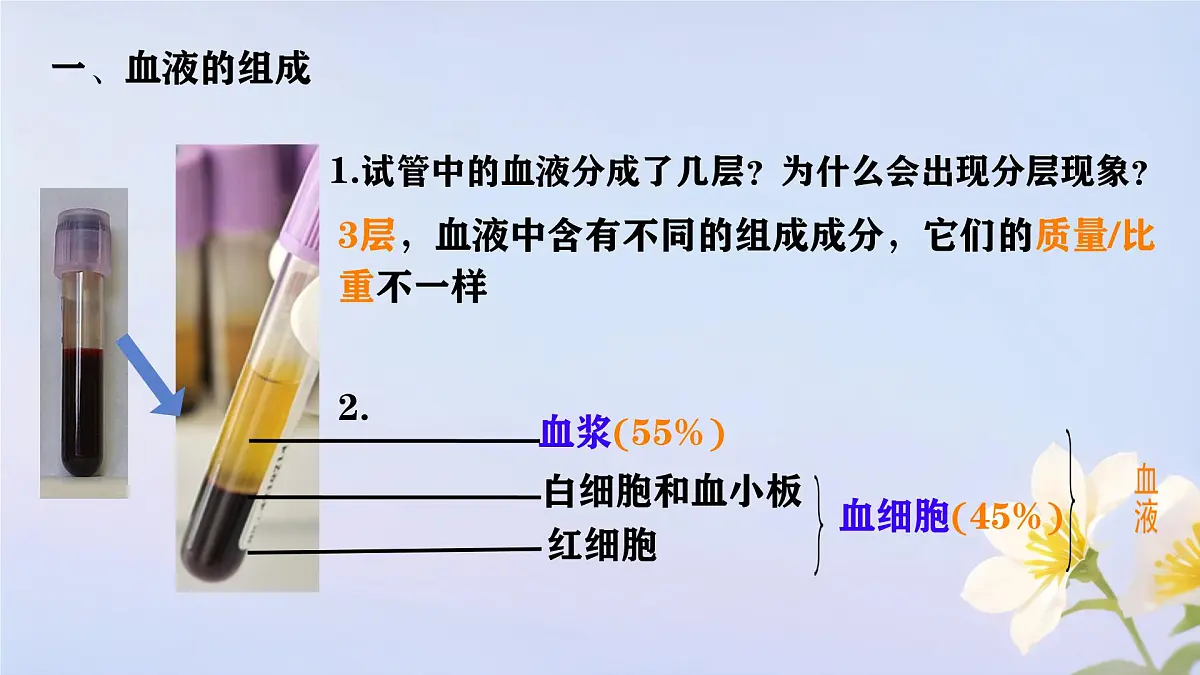 初中 生物人教版（2024）七年级下册4.4.1 流动的组织——血液 课件第2页