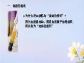 初中 生物人教版（2024）七年級下冊4.4.1 流動的組織——血液 課件