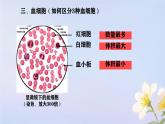 初中 生物人教版（2024）七年級下冊4.4.1 流動的組織——血液 課件