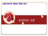 初中 生物人教版（2024）七年級下冊4.4.1 流動的組織——血液 課件