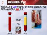 初中 生物人教版（2024）七年級下冊4.4.1 流動的組織——血液 課件