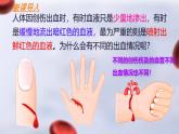 初中 生物人教版（2024）七年級(jí)下冊(cè)4.4.2 血流的管道——血管 課件