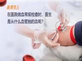 初中 生物人教版（2024）七年級(jí)下冊(cè)4.4.2 血流的管道——血管 課件