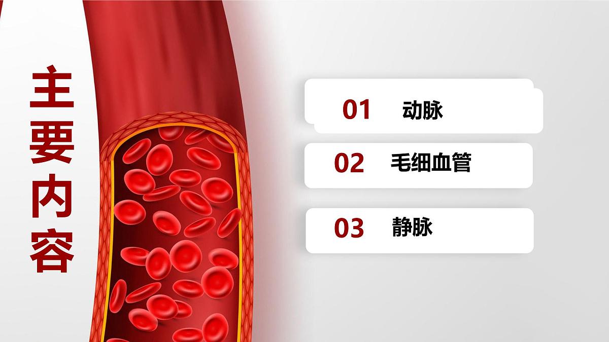 初中 生物人教版（2024）七年级下册4.4.2 血流的管道——血管 课件第4页
