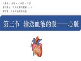 初中 生物人教版（2024）七年級(jí)下冊(cè)4.4.3 輸送血液的泵——心臟 課件