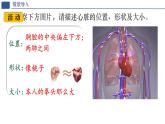 初中 生物人教版（2024）七年級(jí)下冊(cè)4.4.3 輸送血液的泵——心臟 課件
