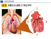 初中 生物人教版（2024）七年級(jí)下冊(cè)4.4.3 輸送血液的泵——心臟 課件