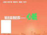 初中 生物人教版（2024）七年級(jí)下冊(cè)4.4.3 輸送血液的泵——心臟 課件