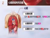 初中 生物人教版（2024）七年級(jí)下冊(cè)4.4.3 輸送血液的泵——心臟 課件